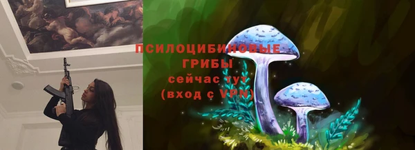 ПСИЛОЦИБИНОВЫЕ ГРИБЫ Белокуриха